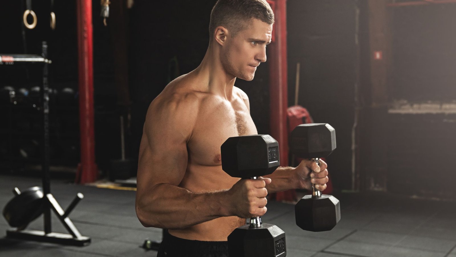 biceps workout with dumbbells