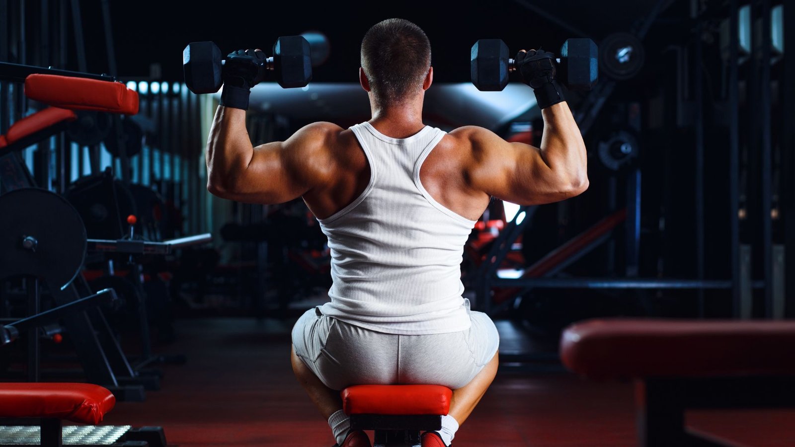 back and bicep routine